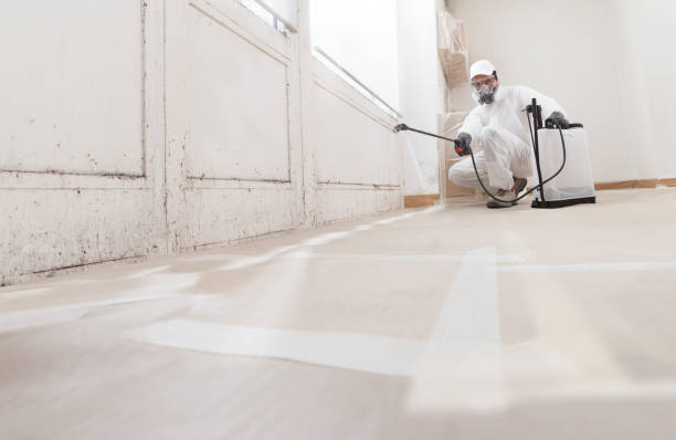 24/7 Emergency Basement Mold Removal experts in West Newton, PA
